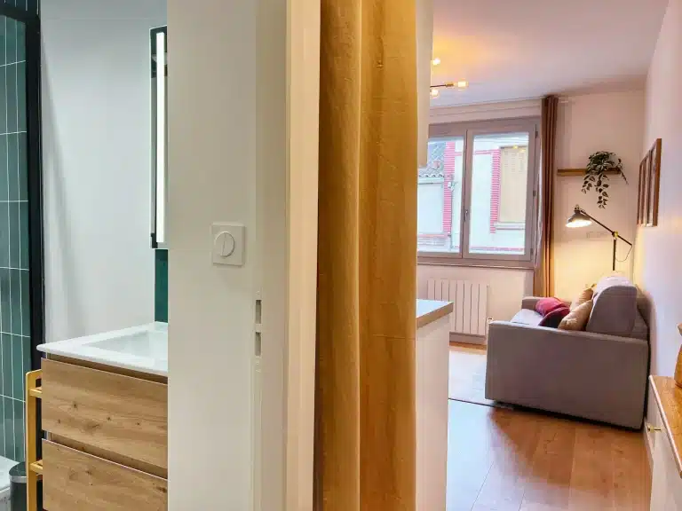 T1 centre-ville Toulouse