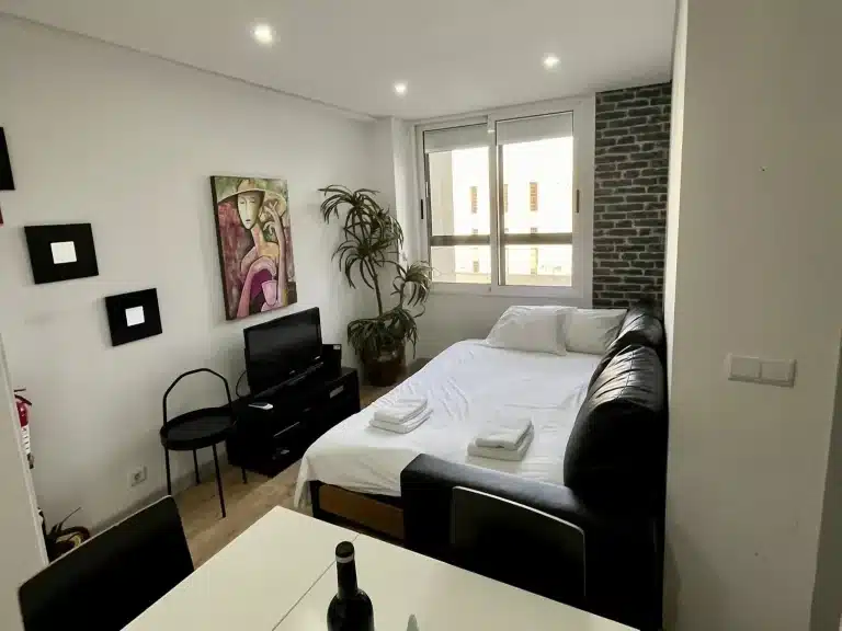 T2 centre-ville Porto