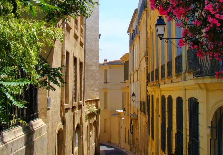 Photos_En-tête_Artae_918x638px (2)