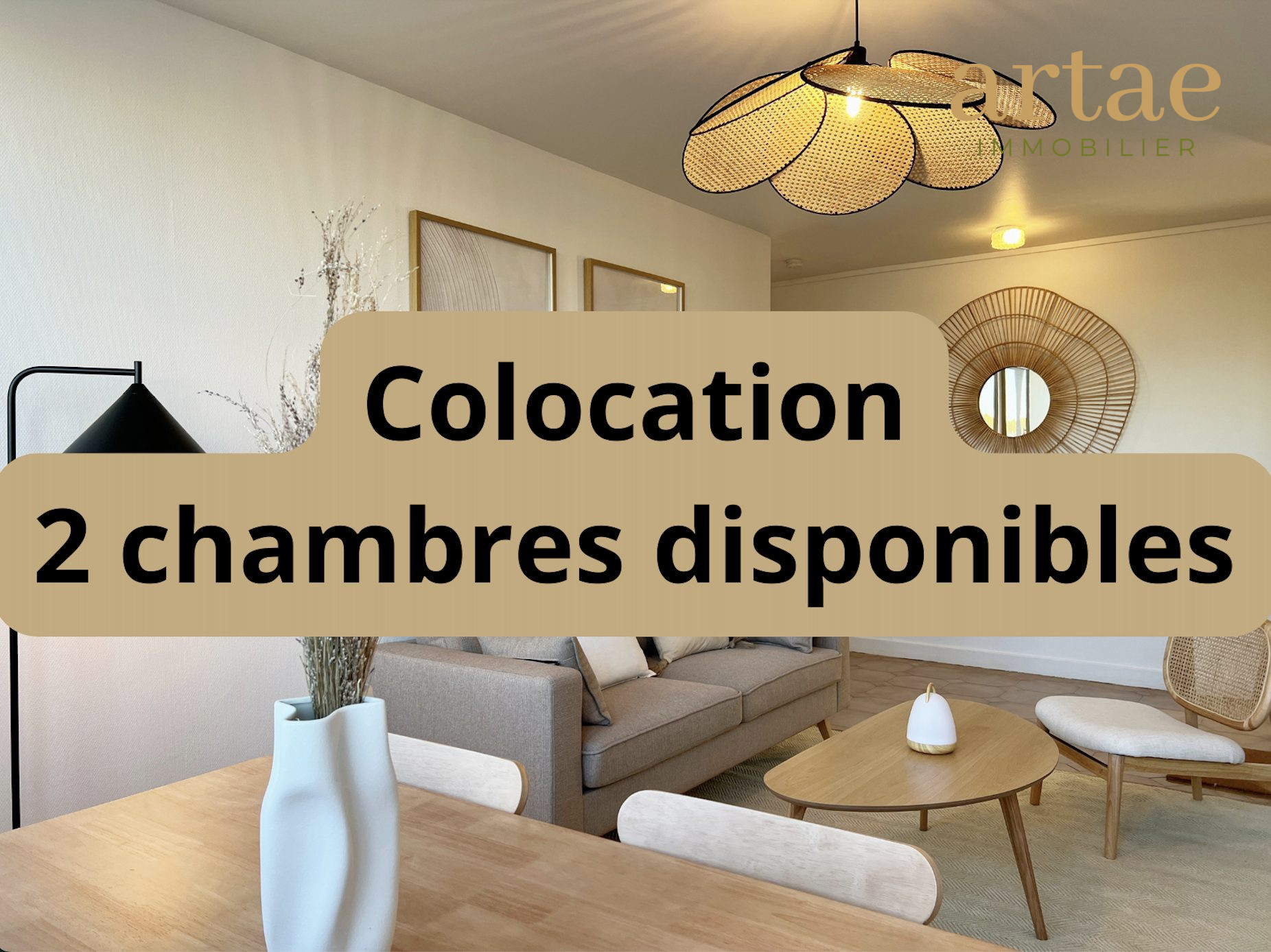 Appartement à louer Toulouse